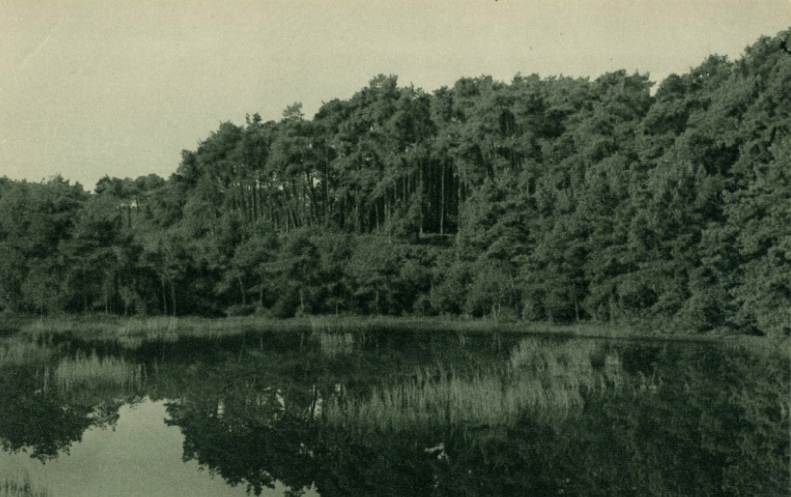 Henschotermeer — Maarn