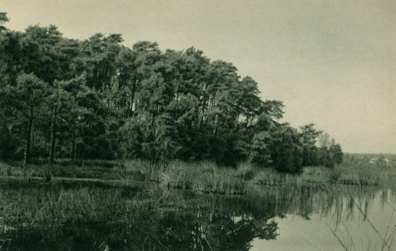 Henschotermeer — Maarn