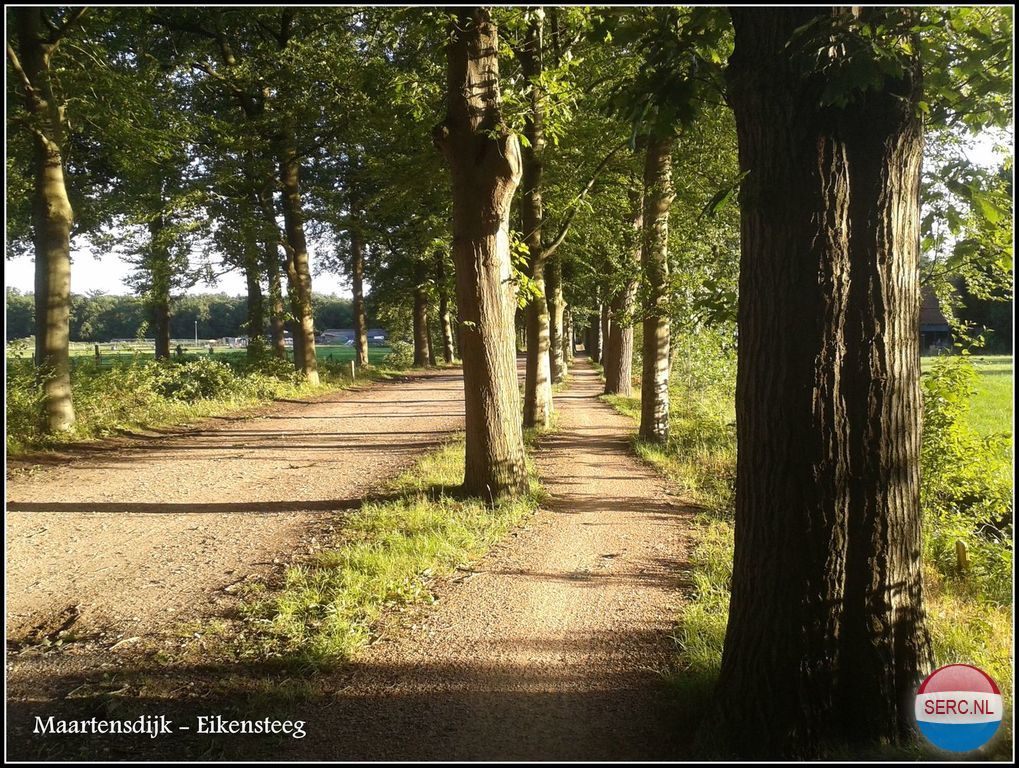 Eikensteeg — Maartensdijk