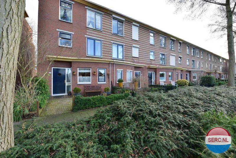 Frans Halshage — Nieuwegein