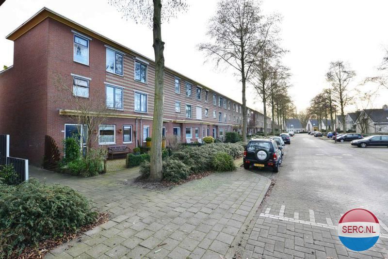 Frans Halshage — Nieuwegein