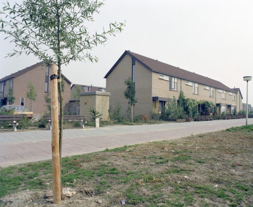 Waterlelie — Nieuwegein