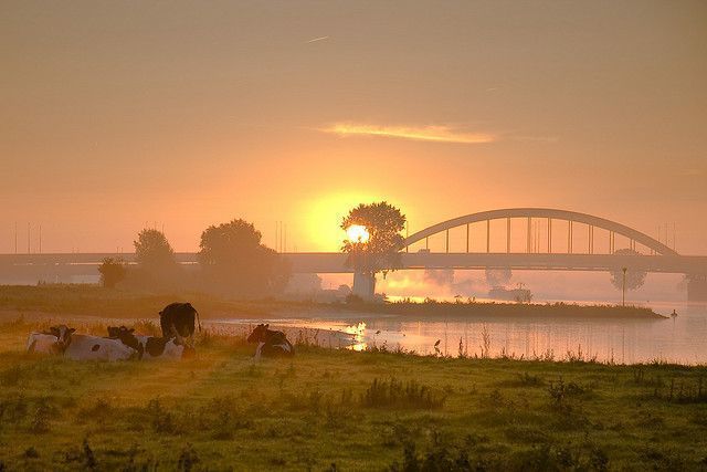 Bruggen — Vianen
