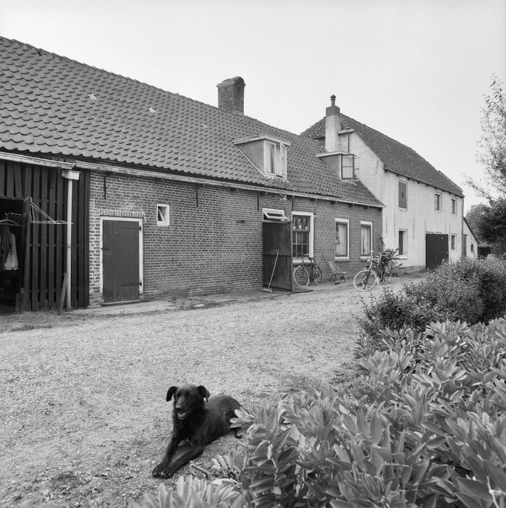 Brederodestraat — Vianen