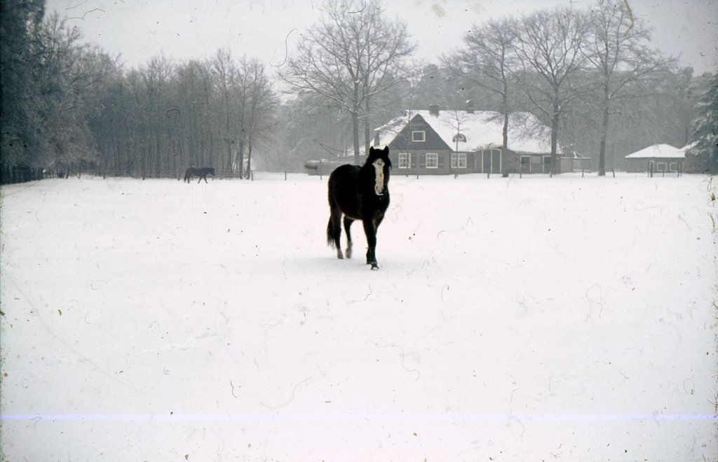 A28 — Zeist