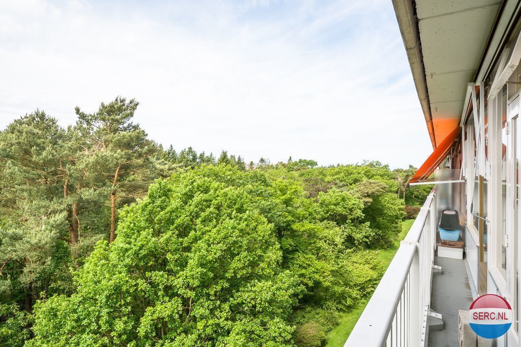 Anna Paulownalaan — Zeist