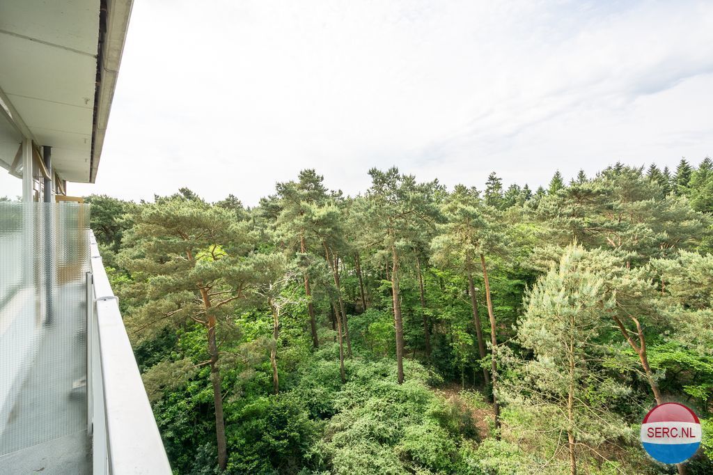 Anna Paulownalaan — Zeist