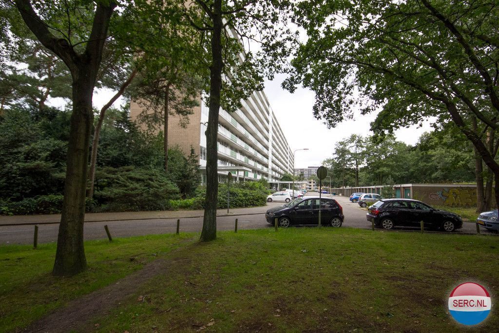Anna Paulownalaan — Zeist