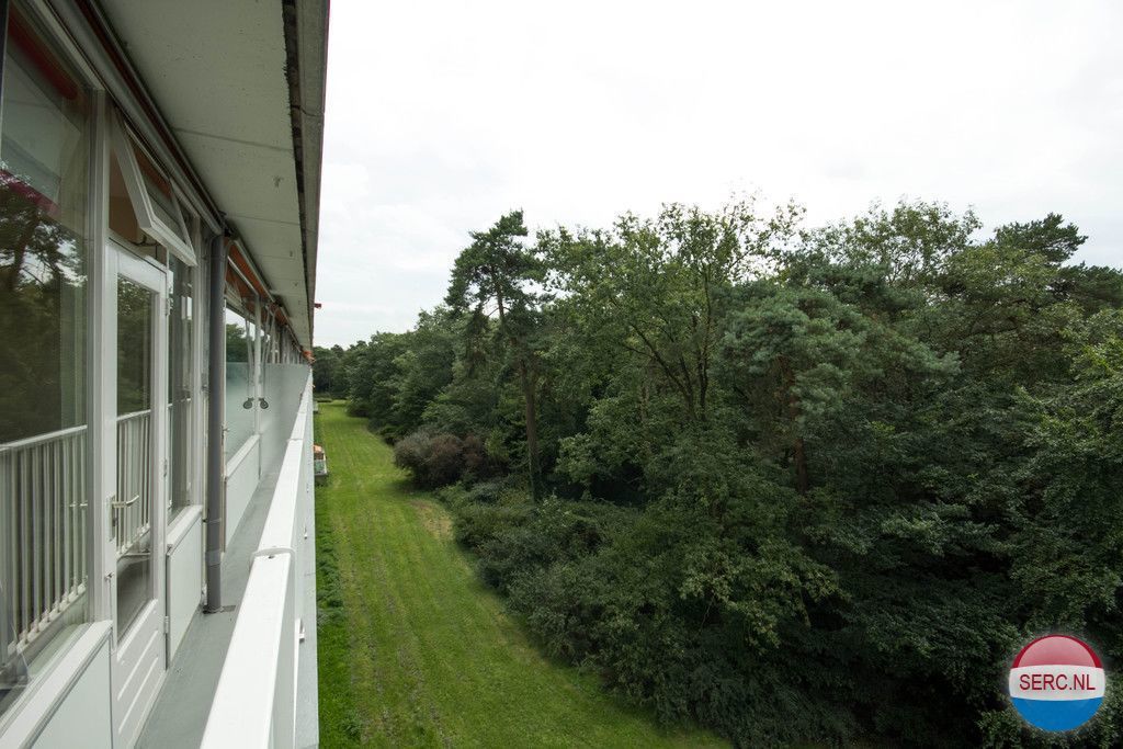 Anna Paulownalaan — Zeist