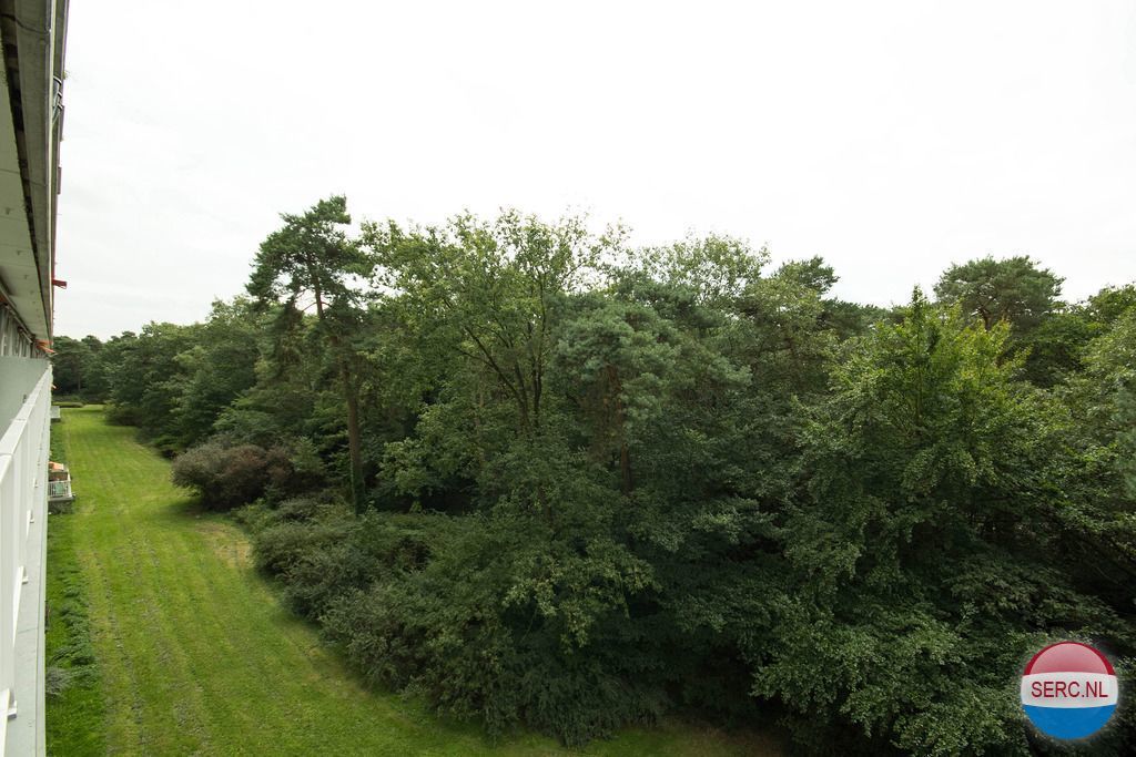 Anna Paulownalaan — Zeist