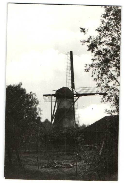 Molens — Biervliet