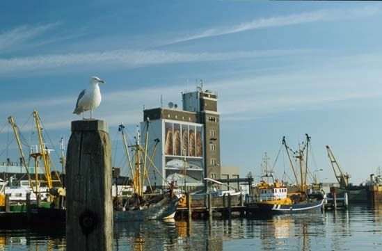 Haven — Breskens