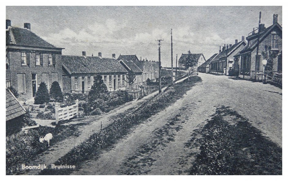Boomdijk — Bruinisse
