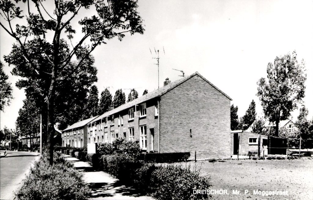 Mr. P. Moggestraat — Dreischor