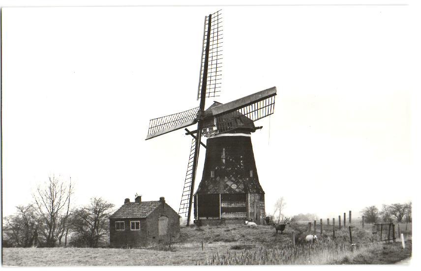 Molens — 's Heer Arendskerke