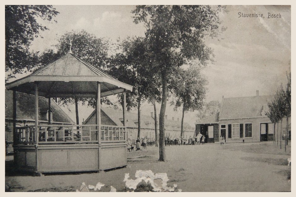 Bos — Stavenisse
