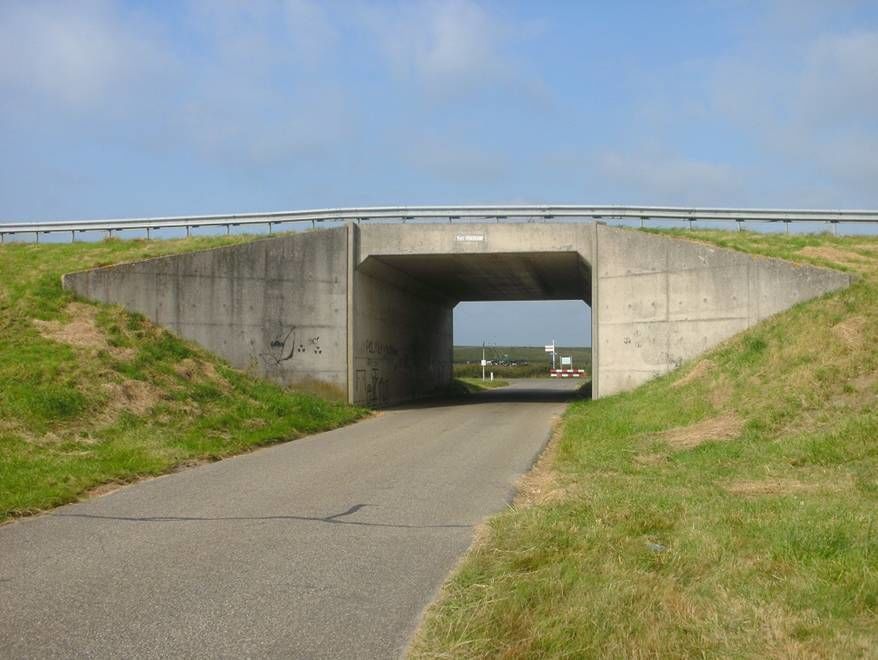 Bruggen — Tholen