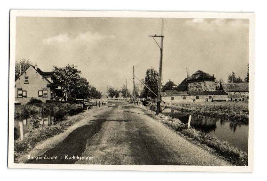 Kadijkselaan — Bergambacht
