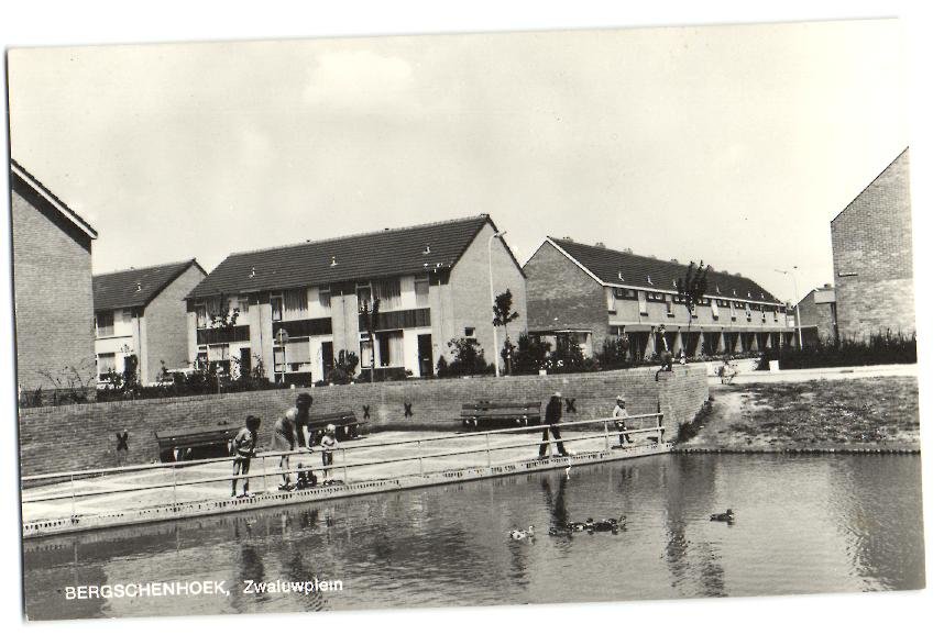 Zwaluwplein — Bergschenhoek