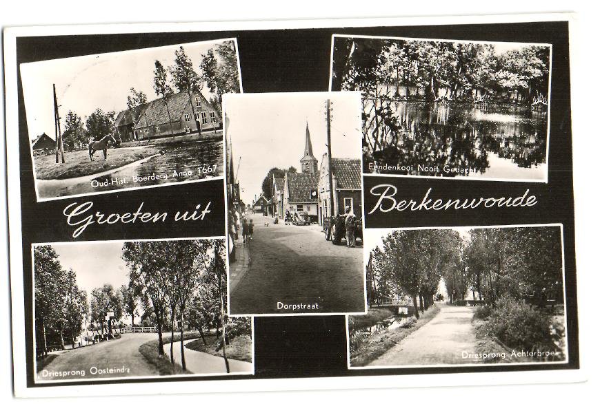 Ansichtkaarten — Berkenwoude