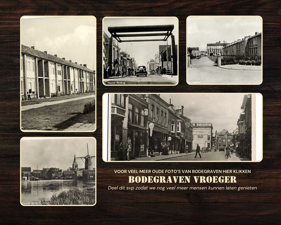 Overzicht — Bodegraven