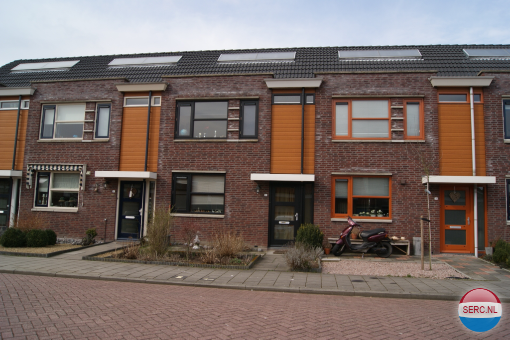 Kamperfoelie — Brandwijk