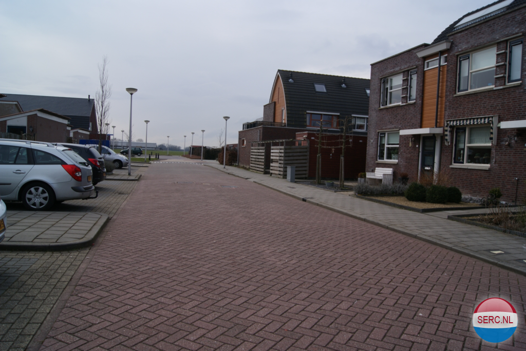 Kamperfoelie — Brandwijk