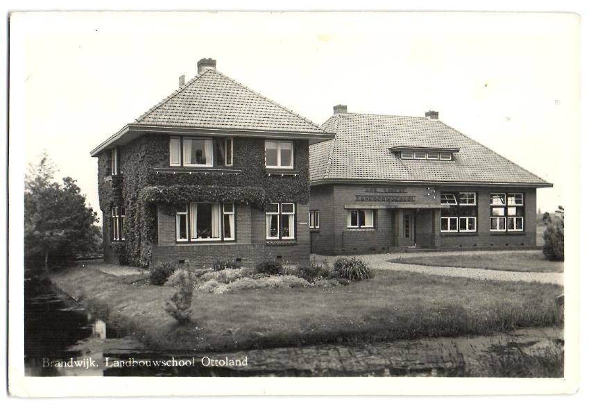 Scholen — Brandwijk