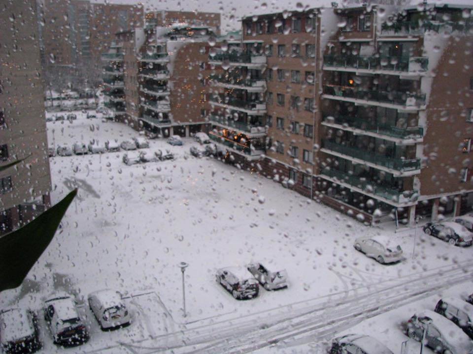 Fluiterlaan — Capelle aan den IJssel