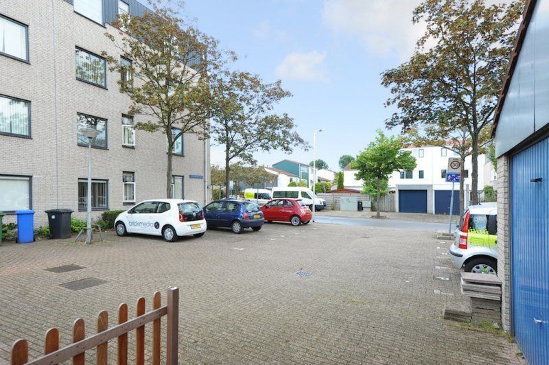 Aalscholverring — Delft