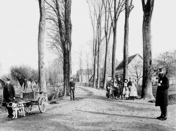 Dubbelsteynlaan — Dubbeldam