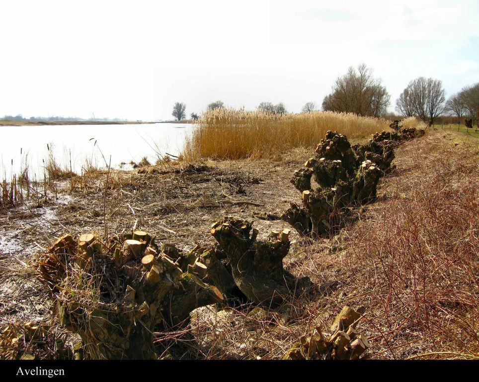 Avelingen — Hardinxveld-Giessendam