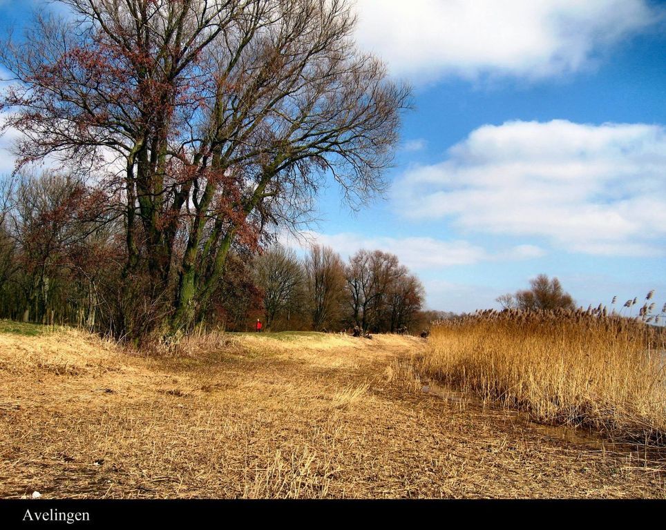 Avelingen — Hardinxveld-Giessendam