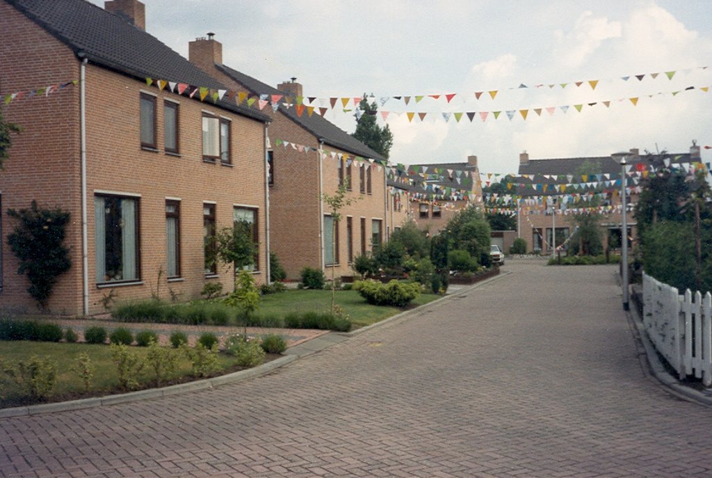 Wilgenhoek — Klaaswaal