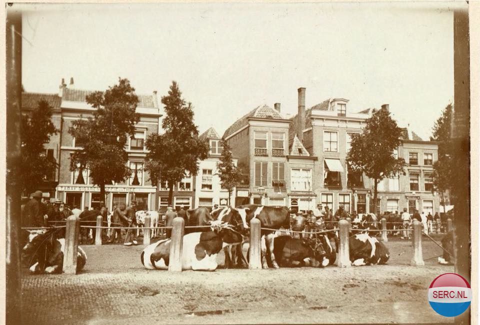 Beestenmarkt — Leiden