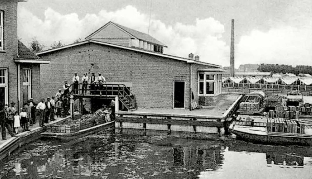Groenteveiling — Loosduinen