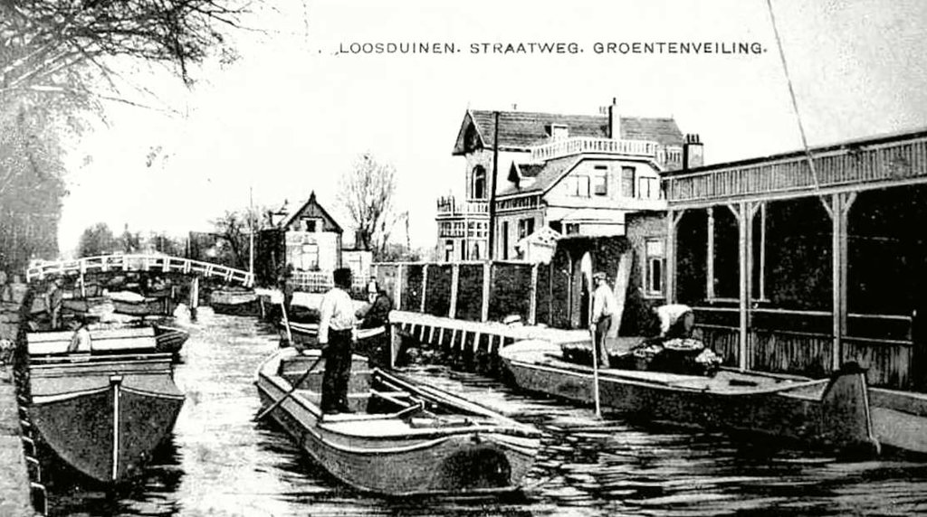Groenteveiling — Loosduinen