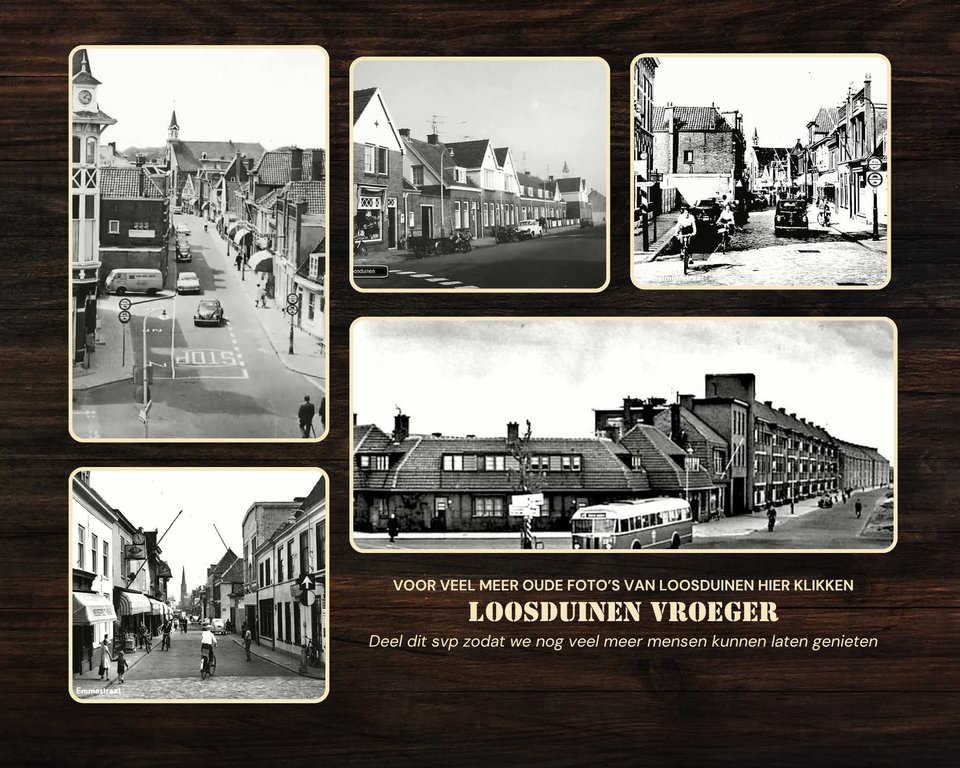 Overzicht — Loosduinen