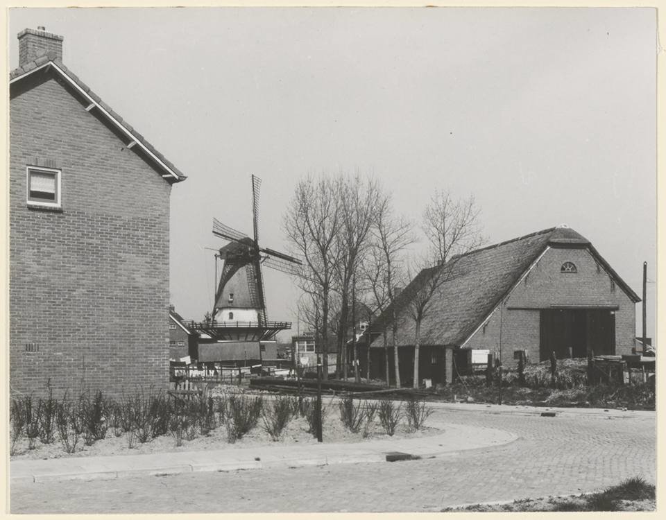 Molens — Maasdam