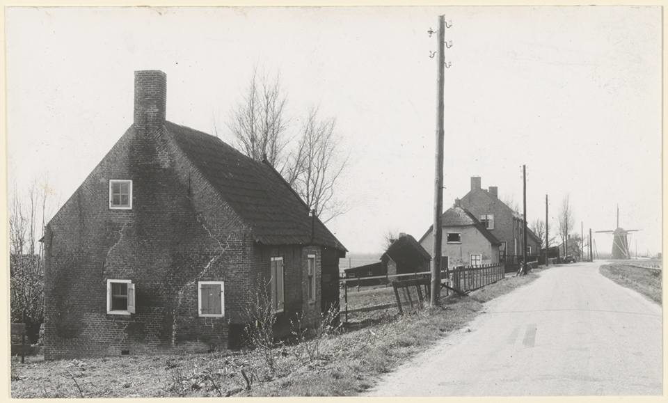 Polderdijk — Maasdam