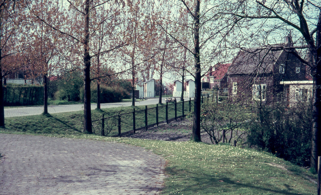 Hofsingel — Maasland