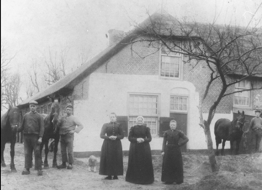 Duifpolder — Maasland