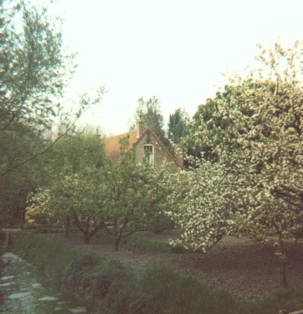 Commandeurskade — Maasland