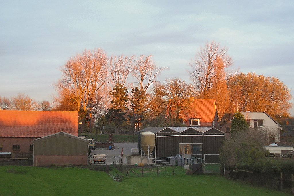 's Herenstraat — Maasland