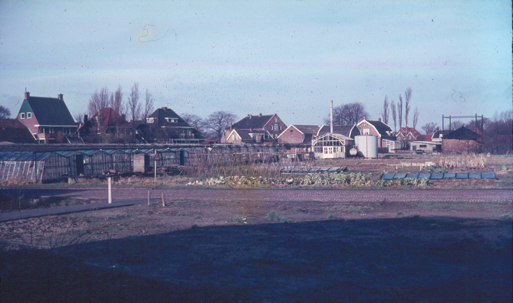 Doelstraat — Maasland
