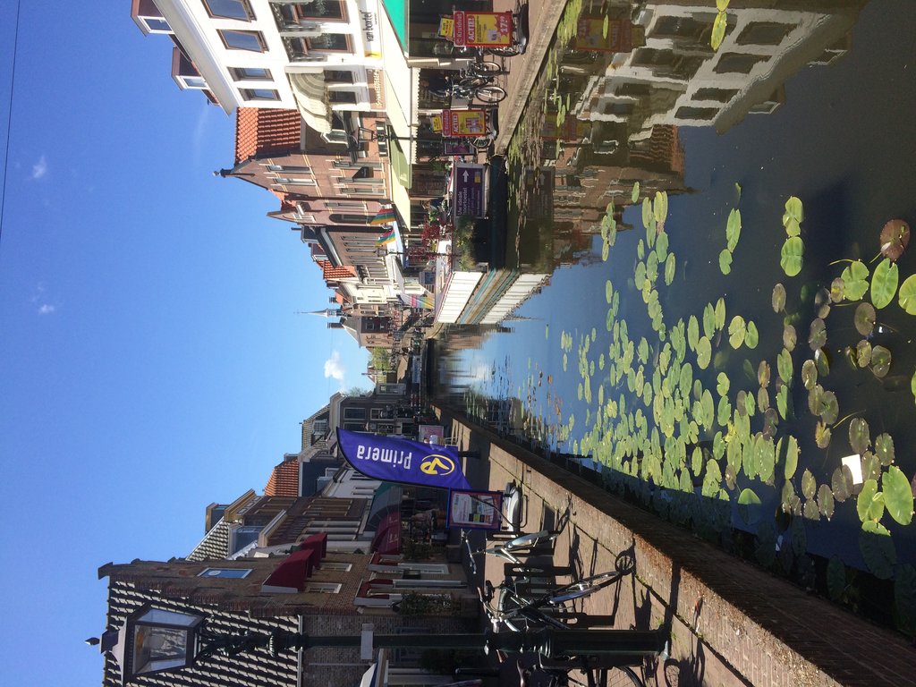 Zuidvliet — Maassluis