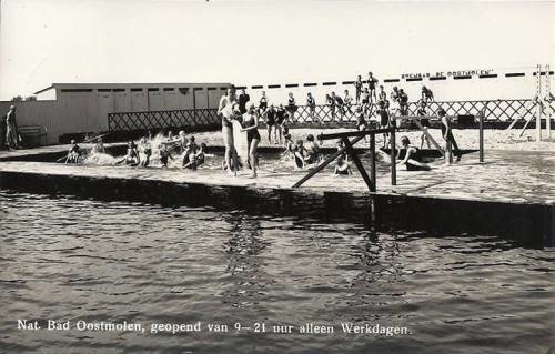 Zwembad — Mijnsheerenland