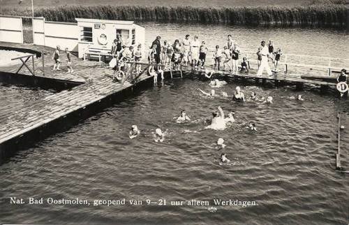 Zwembad — Mijnsheerenland