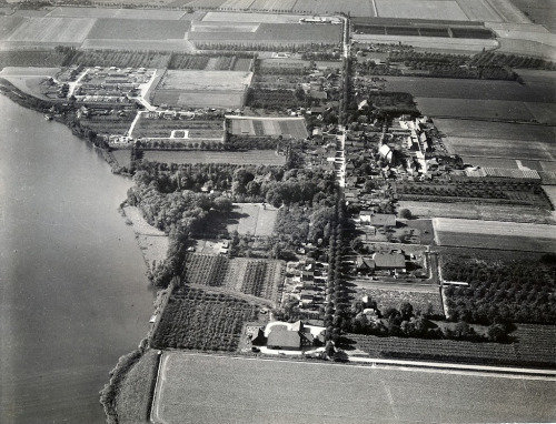 Luchtfoto's — Mijnsheerenland