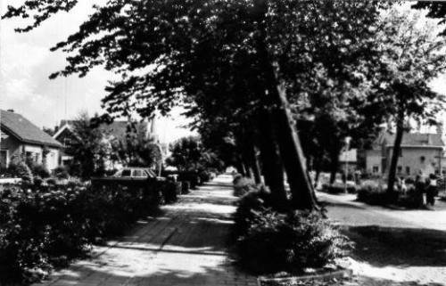 Raadhuislaan — Mijnsheerenland